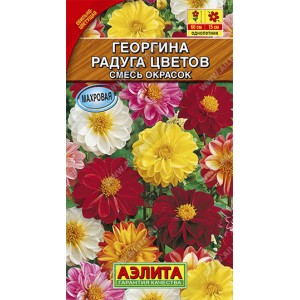 Георгина махровая Радуга цветов, смесь сортов --- Одн